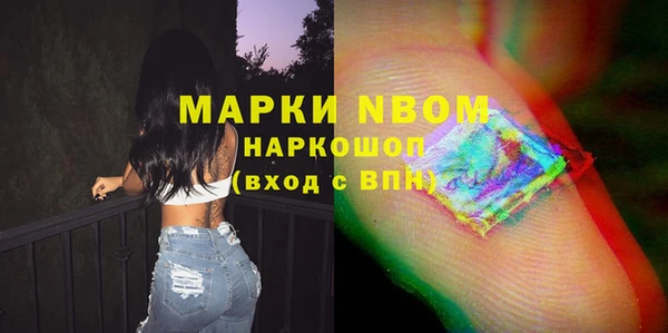 мдпв Каменногорск