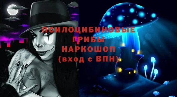 мдпв Каменногорск
