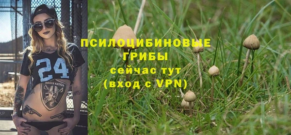 мескалин Каменка