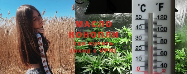 мдпв Каменногорск