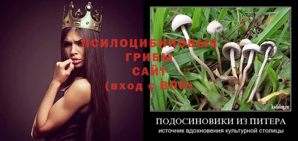 мдпв Каменногорск