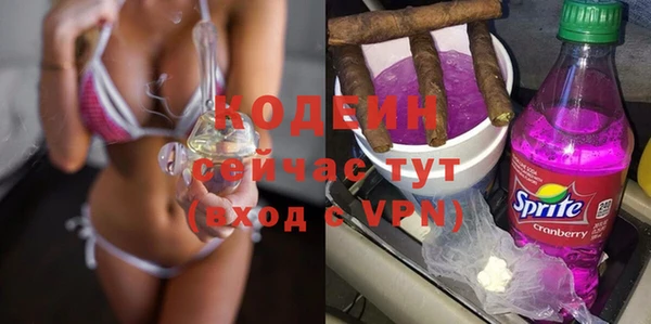 мдпв Каменногорск
